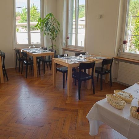 Guest House Dieci allo Zoo Zurigo Esterno foto