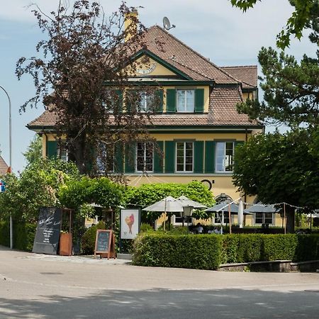 Guest House Dieci allo Zoo Zurigo Esterno foto